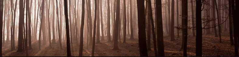 Trees""